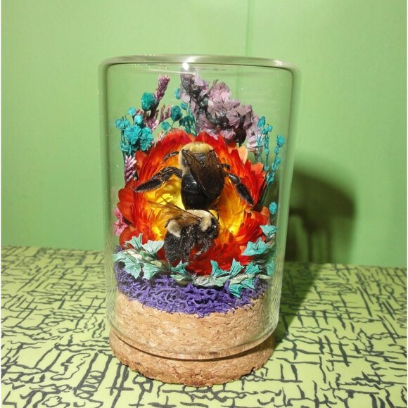 Carpenter Bee on Sunset Flower Oddity jar curiosity Dome insect taxidermy goth - Picture 6 of 16